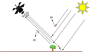 [Binary file structure]